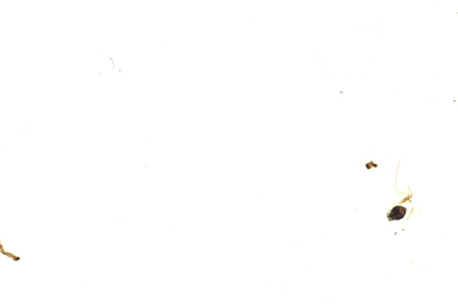 Image 58